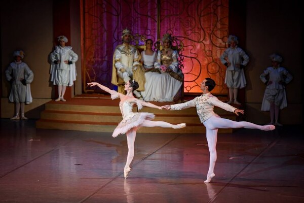 Zvezde Teatra San Karlo pred novosadskom publikom