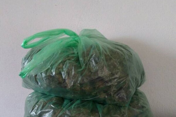 U tri akcije uhapšeno petoro: Policija u Novom Sadu zaplenila 3,5 kilograma marihuane