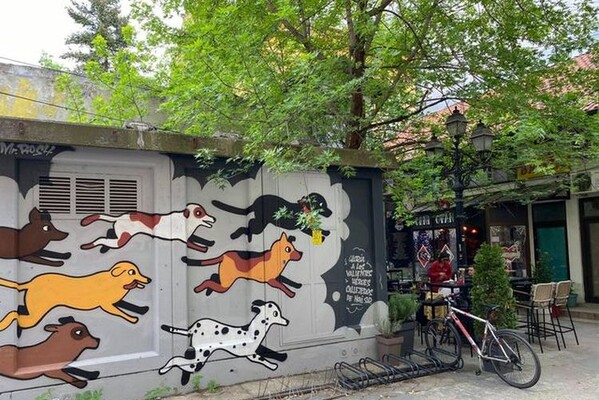 FOTO: U NS oslikan mural posvećen napuštenim životinjama