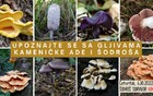 Upoznajte se sa gljivama Kameničke ade i Šodroša