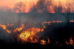 Požar na Fruškoj gori, nastradala jedna osoba