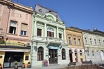Muzeji Novog Sada: Posvećeni publici, edukativni ili tek zgrade za čuvanje predmeta?