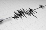 Jak zemljotres u Rumuniji osetio se i u Novom Sadu