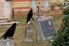 U Srbiji ljudi dižu kredit kako bi sahranili najmilije