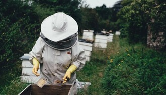 UPOZORENJE PČELARIMA U NOVOM SADU: Tretmani protiv komaraca iz vazduha i sa zemlje 