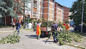 FOTO: "Čistoća" očistila 176 novosadskih ulica od posledica nevremena