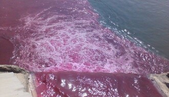 Ni lepi, ni plavi: Dunav pocrveneo zbog krvi iz klanica?
