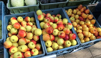 Besplatno voće za najugroženije Novosađane