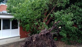 FOTO: Olujni vetar obarao i izvaljivao stabla, najviše štete u prigradskim naseljima