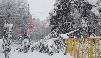 JKP "GRADSKO ZELENILO": Apel građanima da ne parkiraju vozila u blizini drveća