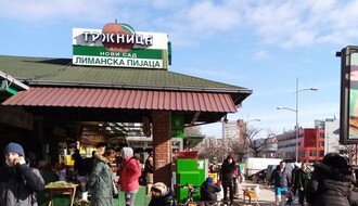 "TRŽNICA": U sredu licitacije za prodaju jelki i za zakup slobodnih mesta na novosadskim pijacama