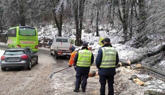 FOTO: Pojedinci uklonili trake upozorenja na Fruškog gori; više oštećenih vozila, povređena žena