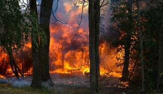 Buknuo, a nakon nekoliko sati i ugašen požar na Fruškoj gori