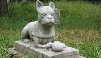 Uspela javna nabavka za projektovanje groblja za kućne ljubimce u Šangaju