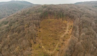 Pokret OŠFG najavio prikupljanje potpisa za zaštitu drveća Fruške gore usled "enormne planske seče"