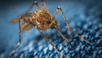 PČELARI, OPREZ: "Ciklonizacija" od ponedeljka počinje tretmane protiv komaraca