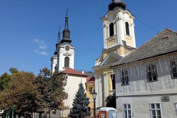 "DNEVNIK": U centru Karlovaca napušteni psi kidisali na vernike pred početak liturgije