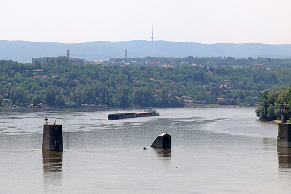 APV: Zbog čega Novosađani nisu na vreme upozoreni da se izlila ogromna količina nafte u Dunav? 