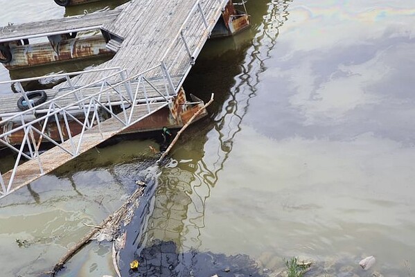 FOTO: U Dunavu kod Novog Sada primećena velika naftna mrlja