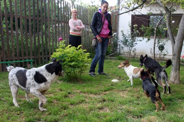 U poseti SPANS-u: Sigurna kuća za novosadske životinje